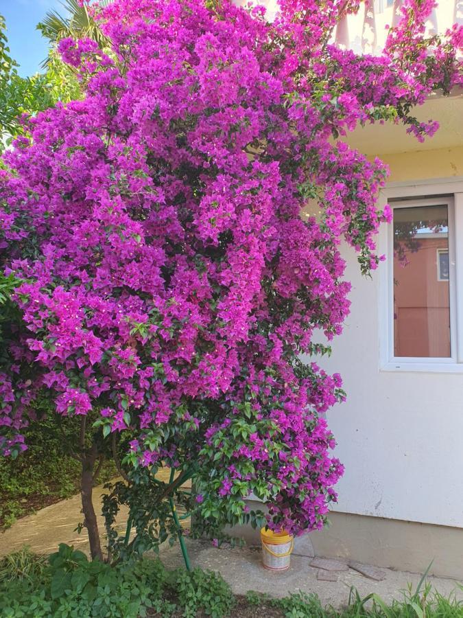 Villa Blanca 巴尔 外观 照片